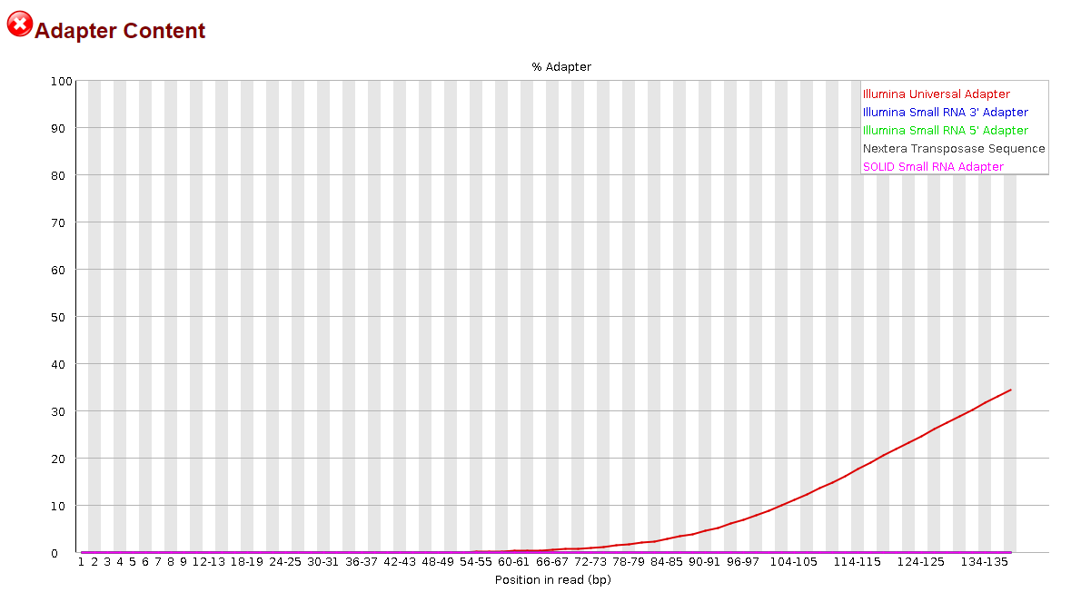 Adapter content before trimming