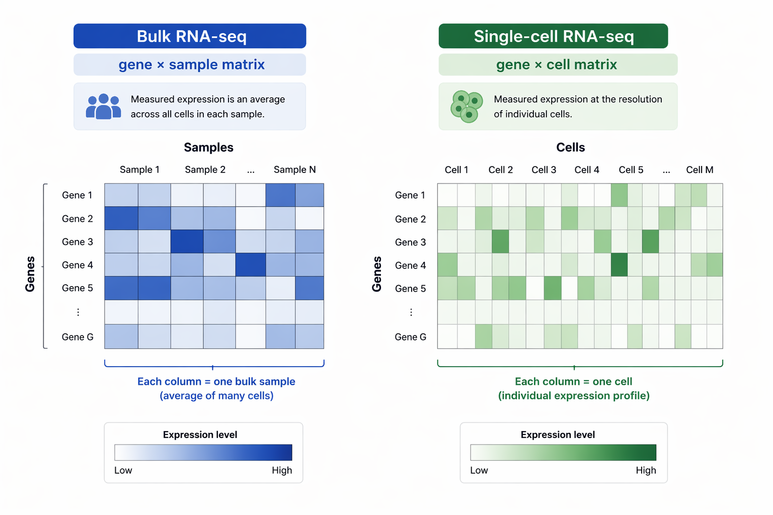 Bulk vs Single-cell RNA-seq comparison