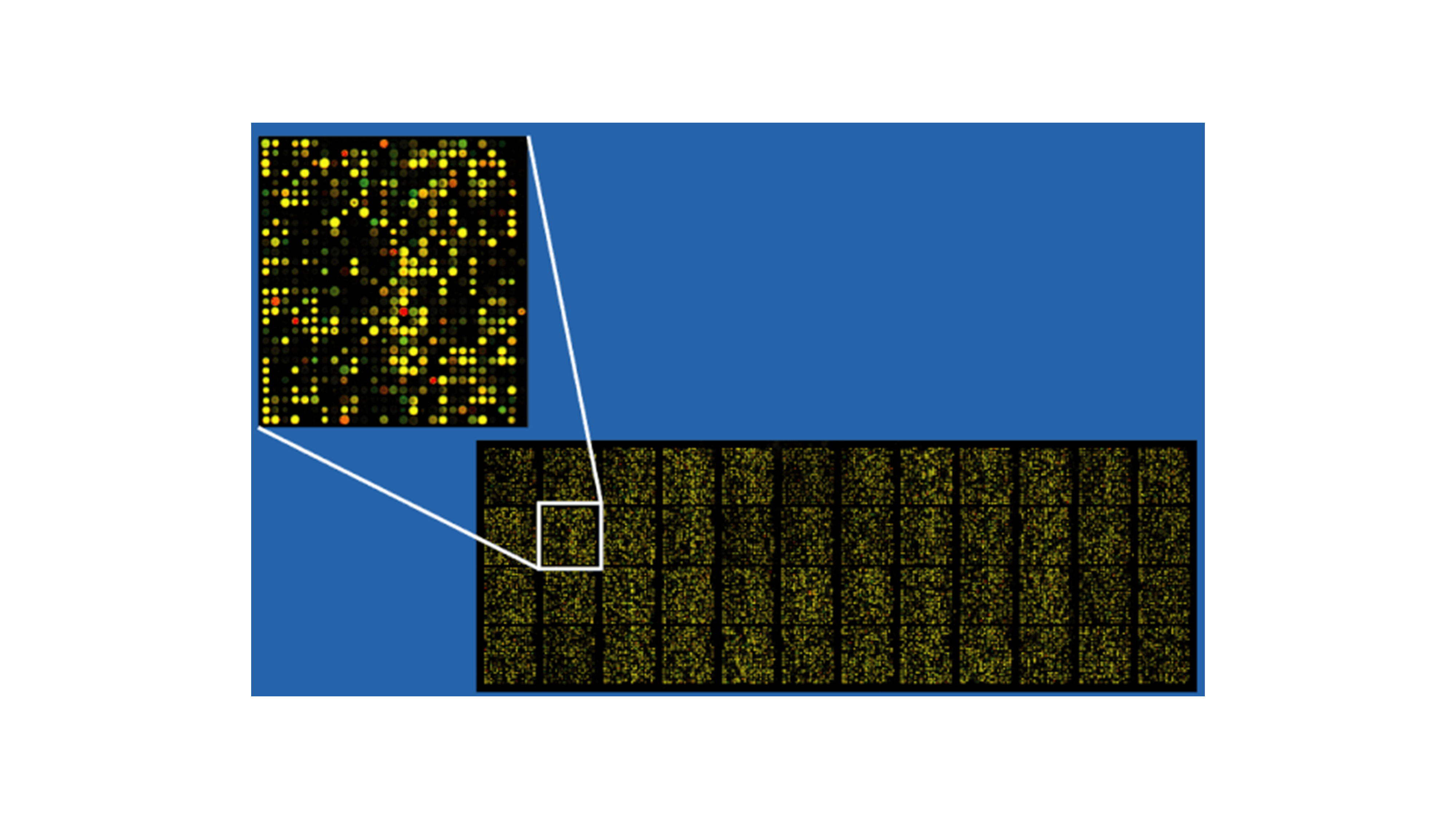 Preprocessing (RMA/neqc)