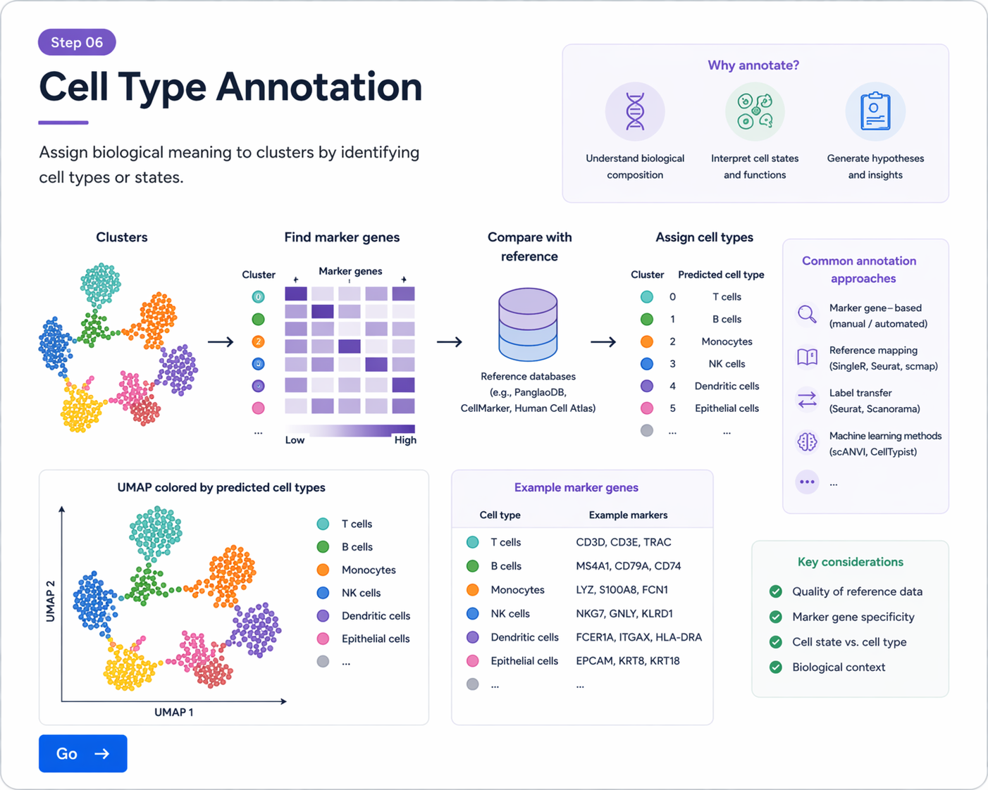 Cell Type Annotation