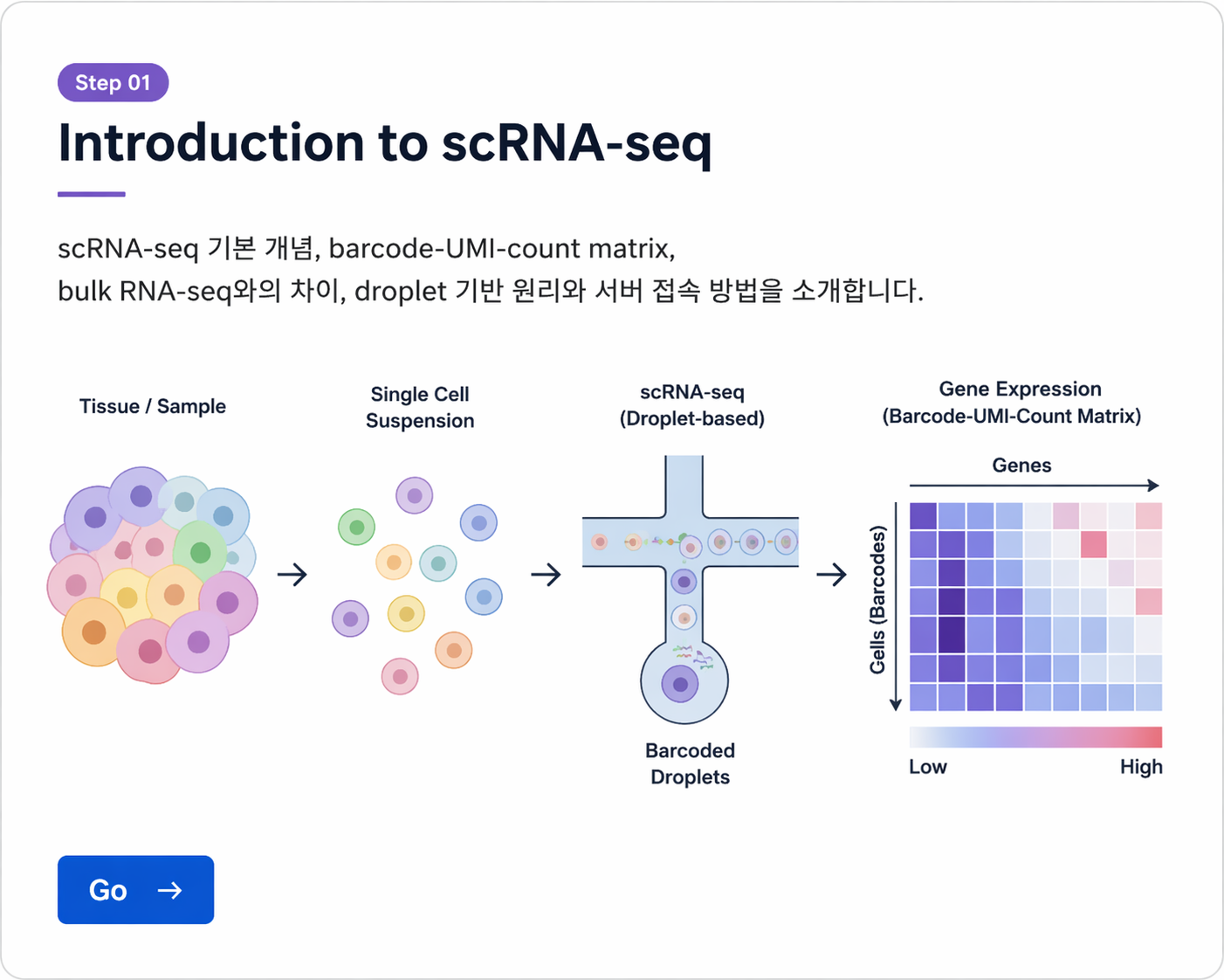 Introduction to scRNA-seq