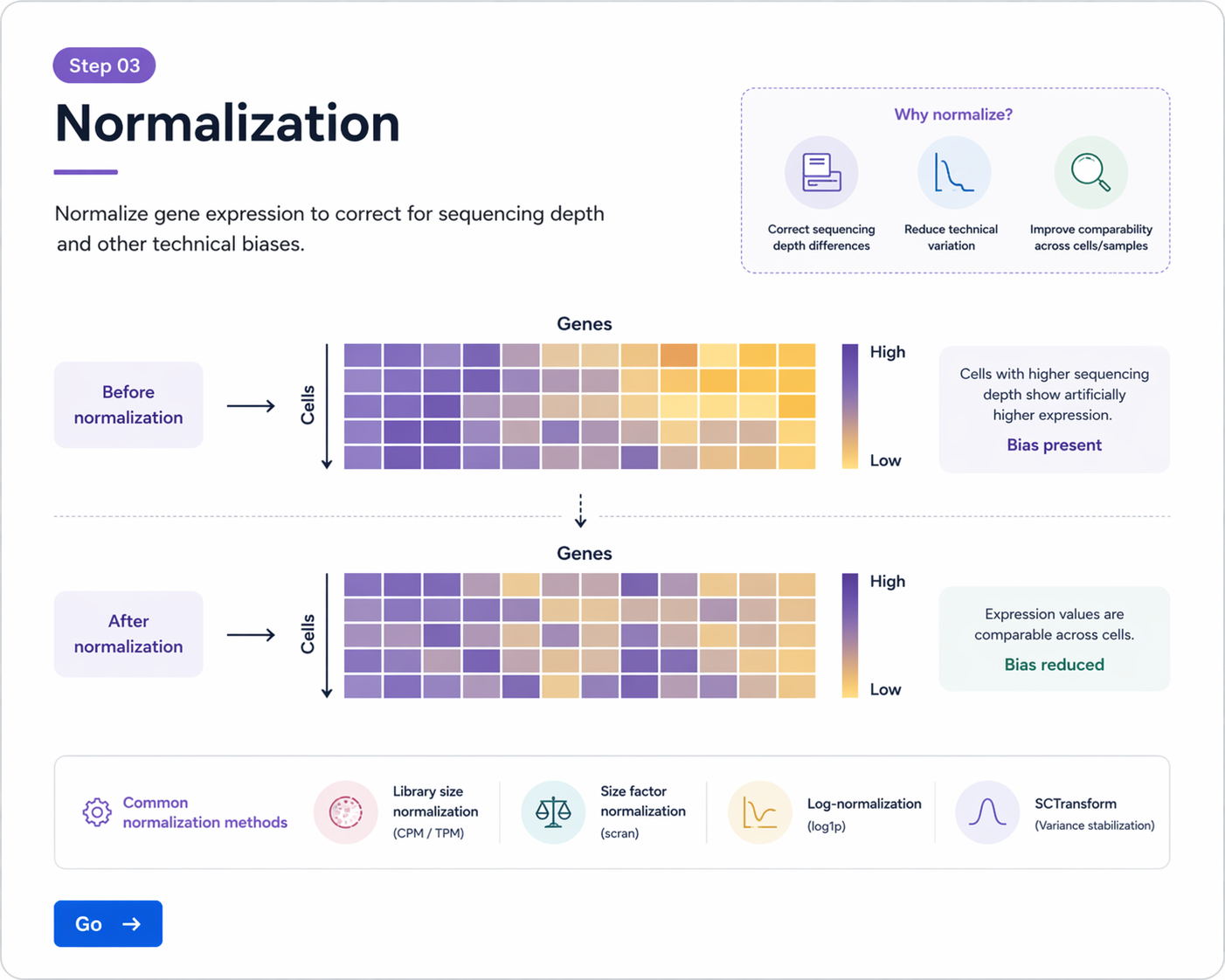 Normalization and Feature Selection