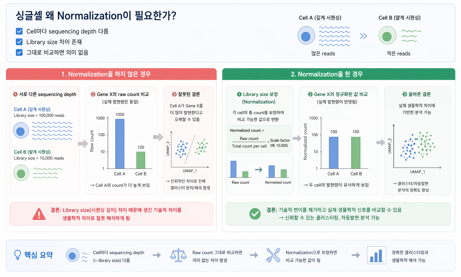 Why normalization is needed in single-cell RNA-seq