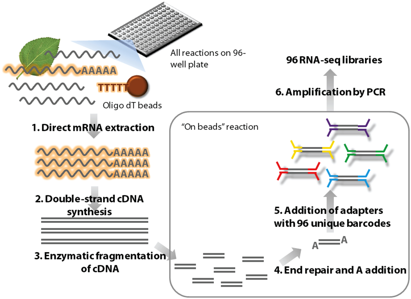 RNA-seq