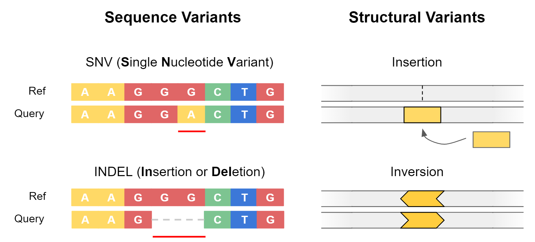 Somatic Mutation Calling (Hands-on)